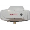 閥門電動(dòng)執(zhí)行器，電動(dòng)執(zhí)行器